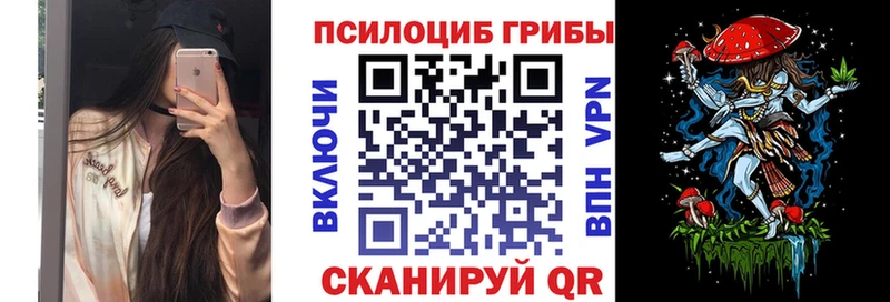 Купить закладки  Химки  Псилоцибиновые грибы прущие грибы 